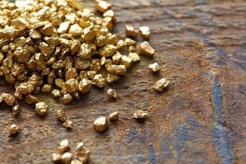 Фотография к новости: Охота за золотом обернулась судимостью для жителя Жамбылской области