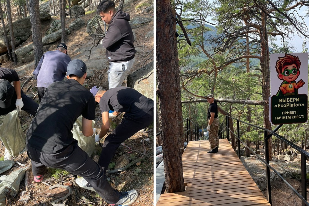  организаторов