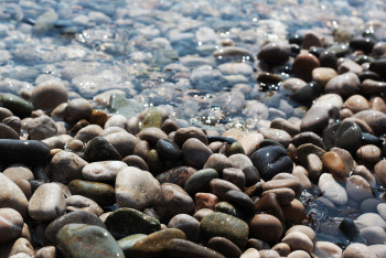 Фотография к новости: 50 гектаров водного фонда возвращены государству в Жамбылской области