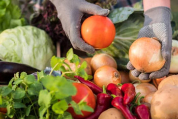 Фотография к новости: В Астане пройдет ярмарка продукции от лучших производителей двух регионов