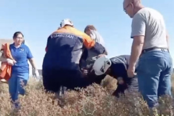 Фотография к новости: В Шымкенте спасатели вытащили подростка и коня из пятиметровой ямы