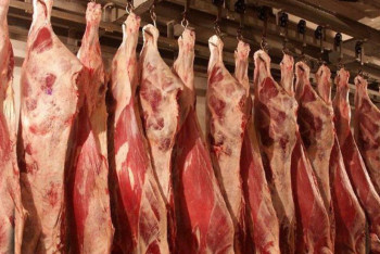 Фотография к новости: Почему дорожает говядина: разъяснение Минсельхоза