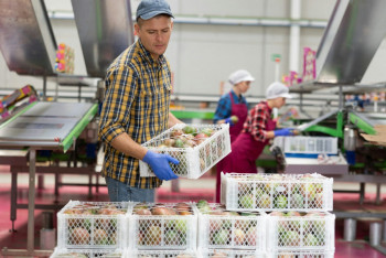 Фотография к новости: Как "ненавязчивая продовольственная дипломатия" Казахстана может изменить баланс в мире