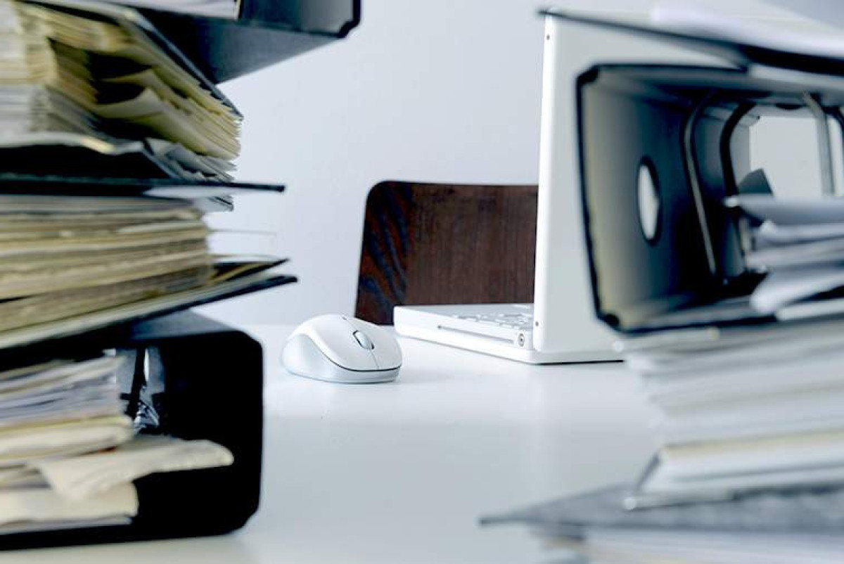  Global Look Press/Felix Vogel