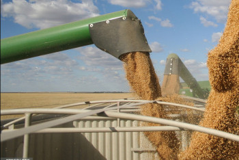 Фотография к новости: Бектенов поручил усилить контроль за уборкой урожая и логистикой зерна