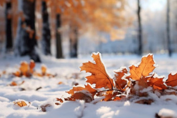 Фотография к новости: Север Казахстана накроют дожди и первый снег