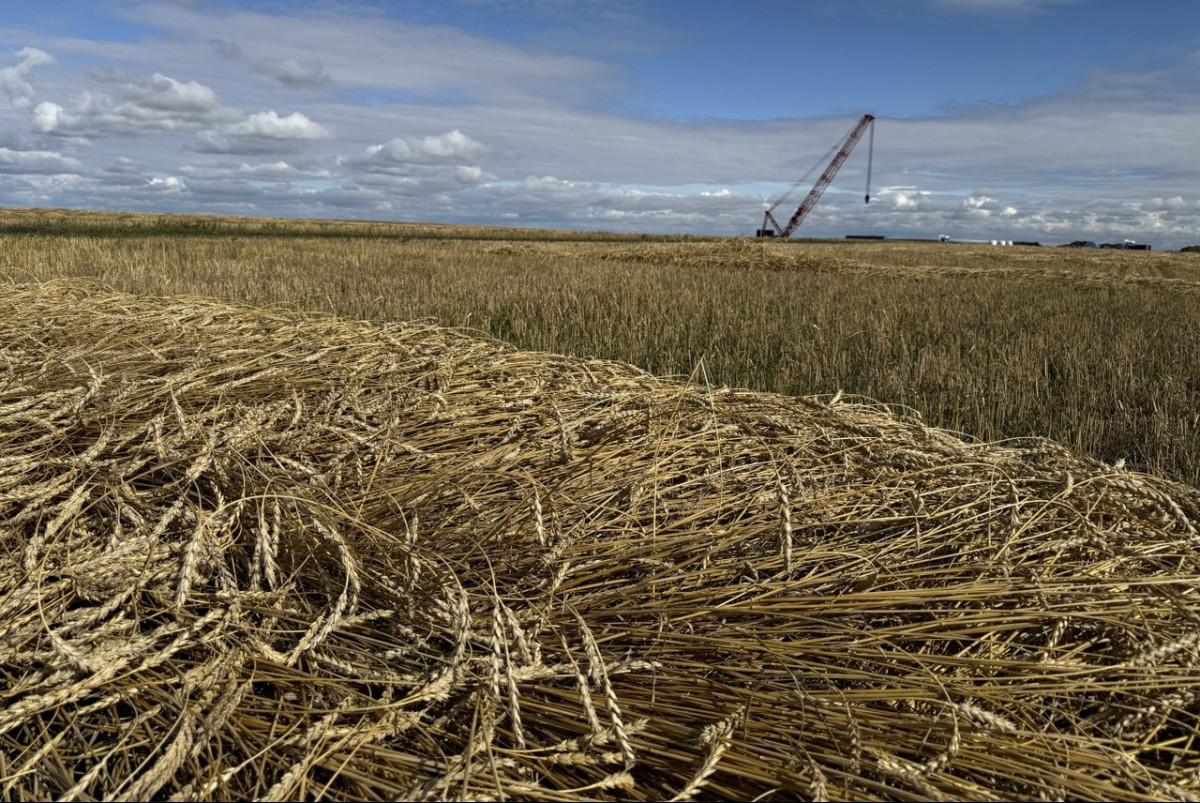  Аскар Кенжетаев. архив