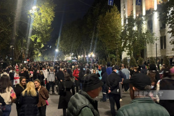 Фотография к новости: В Тбилиси митингующие прорвались во двор президентского дворца