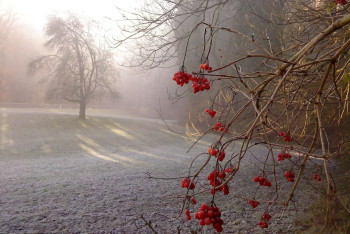 Фотография к новости: На востоке Казахстана похолодает до –13 градусов