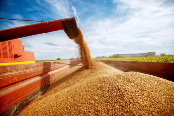 Фотография к новости: На 100 тысяч больше зерна заготовят в Акмолинской области в этом году