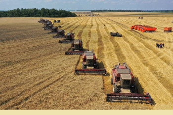 Фотография к новости: Рекордный урожай в Акмолинской области: намолочено свыше 7 млн тонн зерна