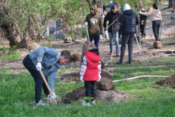 Фотография к новости: В Алматы усилили экологический контроль