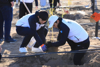 Фотография к новости: Таза Қазақстан: В Актобе впервые высадили реликтовое дерево турангу