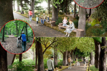 Фотография к новости: Рощу Баума в Алматы преобразят в современное эко-пространство