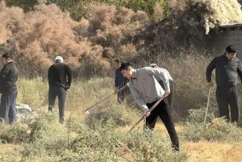 Фотография к новости: 2,5 тысячи человек вышли на масштабный субботник в Туркестанской области