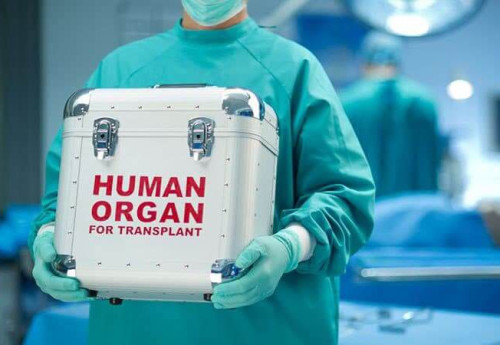 Фотография к новости: Посмертное донорство в Казахстане: эксперты требуют изменить закон