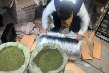 Фотография к новости: В Мангистау изъяли почти 200 кг наркотиков