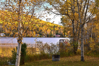 Фотография к новости: Синоптики рассказали, какой будет погода до конца недели