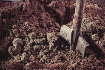 Фотография к новости: В Алматинской области выявлены масштабные нарушения в захоронении животных