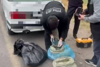 Фотография к новости: В Жамбылской области пресекли перевозку крупной партии наркотиков