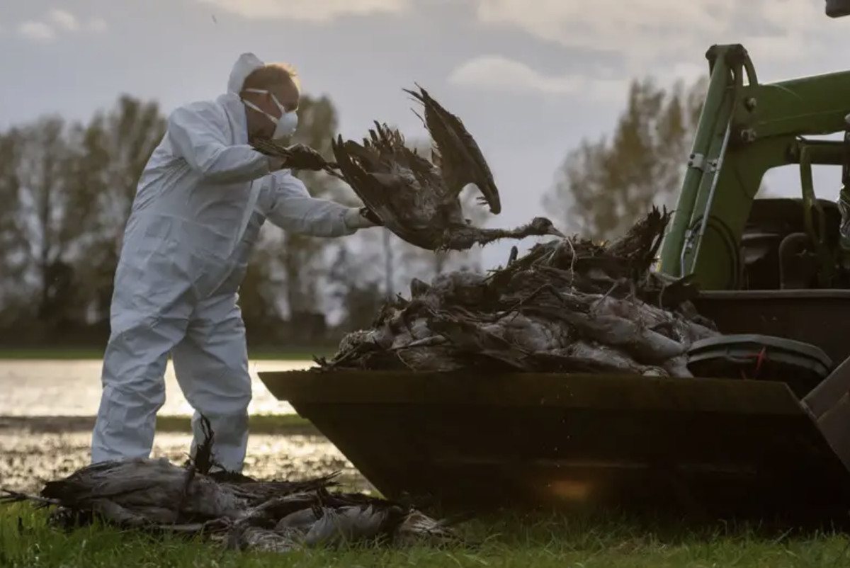  Christophe Gateau/dpa/picture alliance