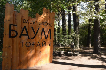 Фотография к новости: Благоустройство рощи Баума: проводится точечное удаление усыхающих деревьев