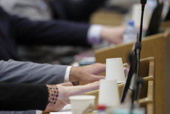 Фотография к новости: Смышляева: Поправки Сената не меняют содержание законов об ИИ