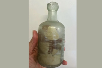 Фотография к новости: На австралийском пляже нашли бутылку с письмами солдат Первой мировой войны