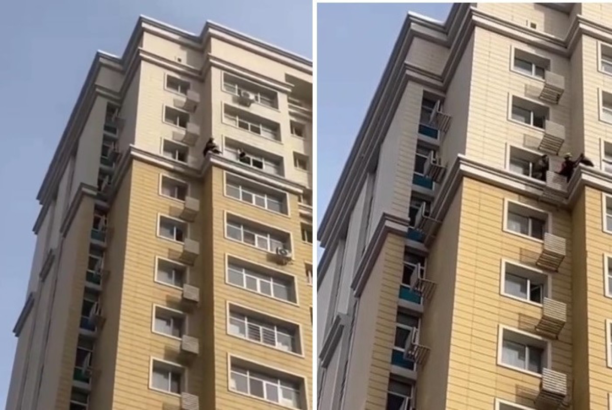  скриншот из видео