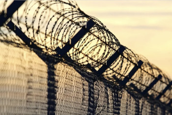 Фотография к новости: Пограничная служба КНБ пресекла контрабанду оружия и валюты на миллиарды