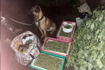 Фотография к новости: В Уральске полицейские нашли тайник с 12 килограммами наркотиков