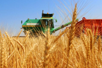 Фотография к новости: Программа субсидирования экспорта продлена до 2026 года