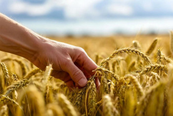 Фотография к новости: Бектенов поручил начать раннюю подготовку к новому сельскохозяйственному сезону