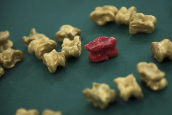 Фотография к новости: В Туркестане стартовал чемпионат Азии по асық ату