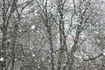 Фотография к новости: Туман и гололед: где в Казахстане объявлено штормовое предупреждение