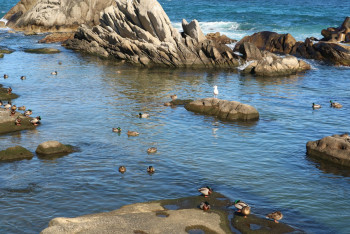 Фотография к новости: Казахстанцам напомнили о праве свободного доступа к водоемам