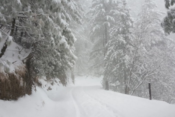 Фотография к новости: Метель и гололёд ожидаются накроют большую часть Казахстана