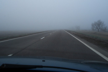 Фотография к новости: Движение ограничили на трассе в Кызылординской области из-за тумана