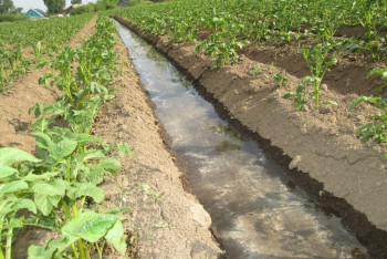 Фотография к новости: В Казахстане за незаконное использование воды наложили 70 миллионов тенге штрафов