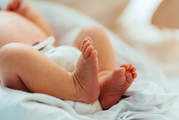 Фотография к новости: Новорожденных детей продавали в Алматы