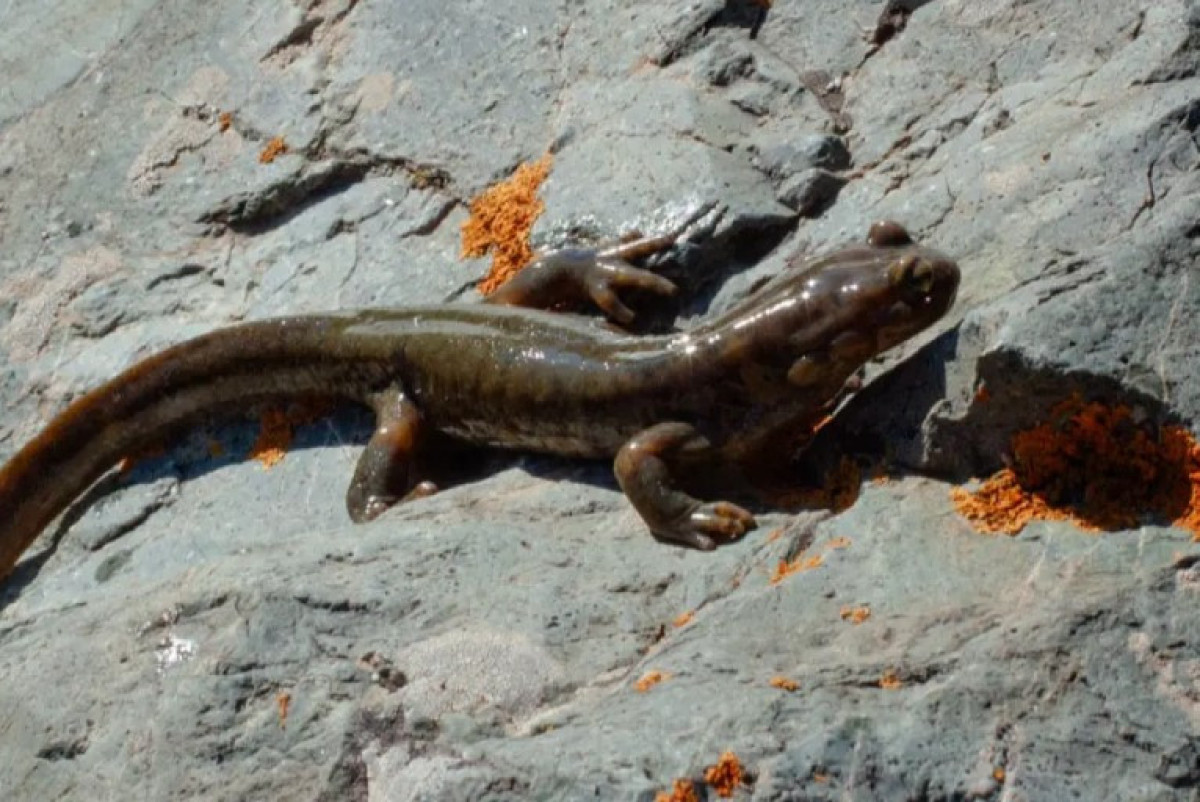  Института зоологии