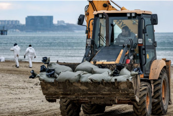 Фотография к новости: Сотни дельфинов погибли после разлива мазута в Чёрном море