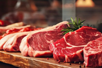 Фотография к новости: Экспорт мяса из Казахстана приближается к 60 тысячам тонн