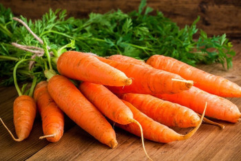 Фотография к новости: В Казахстане планируют запретить вывоз моркови из страны