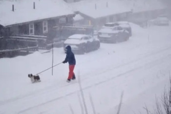 Фотография к новости: В Швеции во время шторма погибли три человека