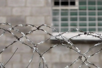 Фотография к новости: Лукашенко помиловал 20 политзаключенных