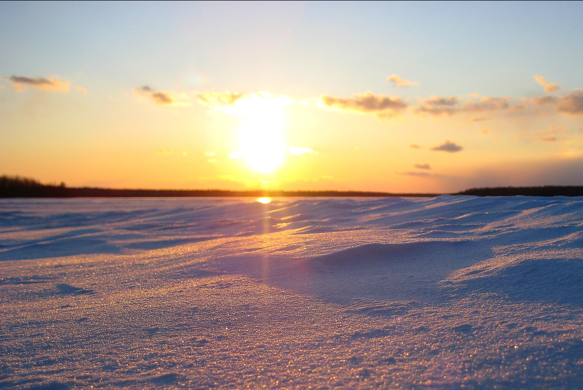  commons.wikimedia.org