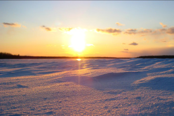 Фотография к новости: Розовый снег выпал в Восточно-Казахстанской области