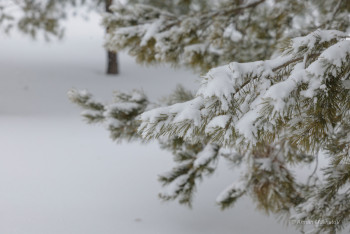 Фотография к новости: Две трассы в Казахстане остаются закрытыми из-за непогоды