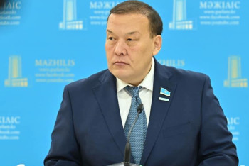 Фотография к новости: Кризиса нет: депутат объяснил, почему Казахстан растёт, даже если этого не чувствуют